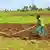 Äthiopien Farmer und Farmland 
