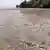 Мор риби на Дніпропетровщині через знищення Каховської греблі