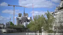 巴黎圣母院正在恢复原貌